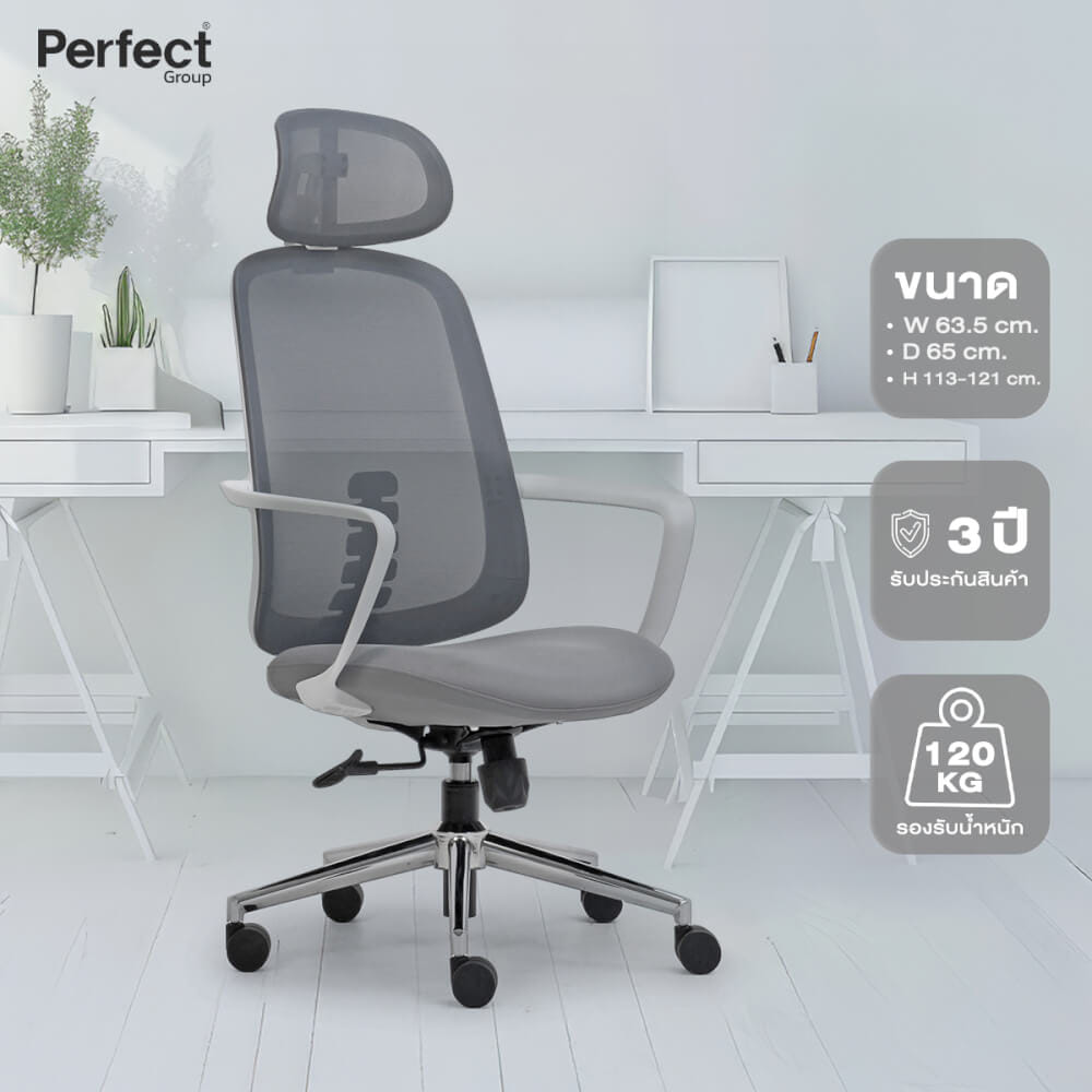 เก้าอี้ทำงานเพื่อสุขภาพ Perfect DRAGONFLY SERIES  รุ่น 501 สีเทา ตัวสูง_7